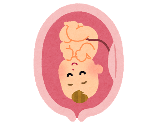 R443682f49c21293dffb0271c7e65d45e